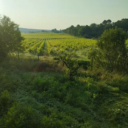 Homestay D Hotes En Provence, Au Pied Du Luberon, Les Coquelicots