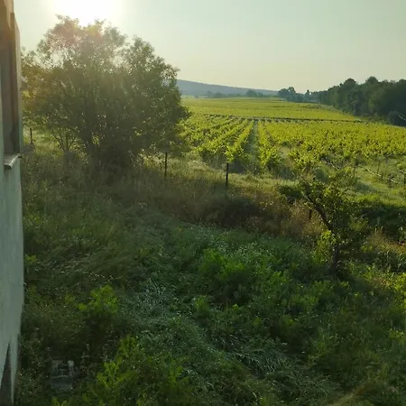D Hotes En Provence, Au Pied Du Luberon, Les Coquelicots